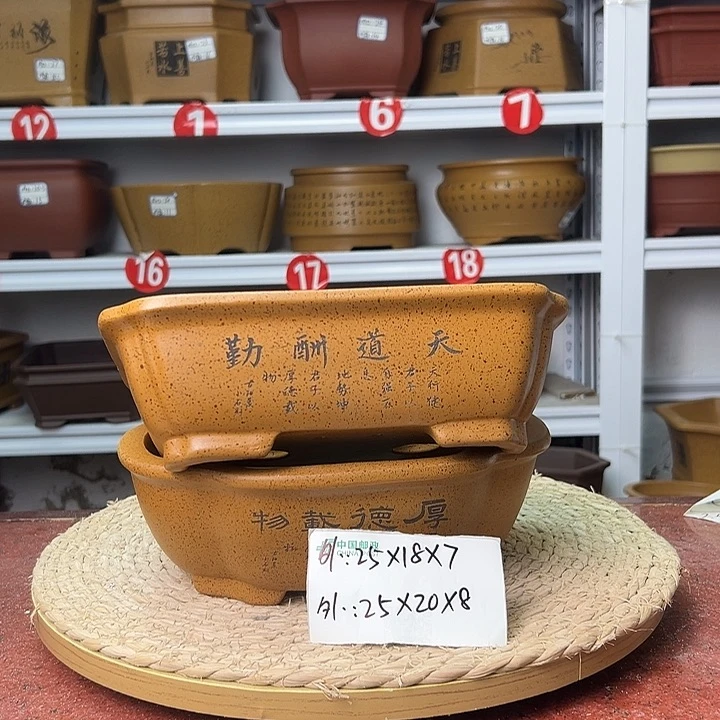 紫砂花盆蛇年大吉