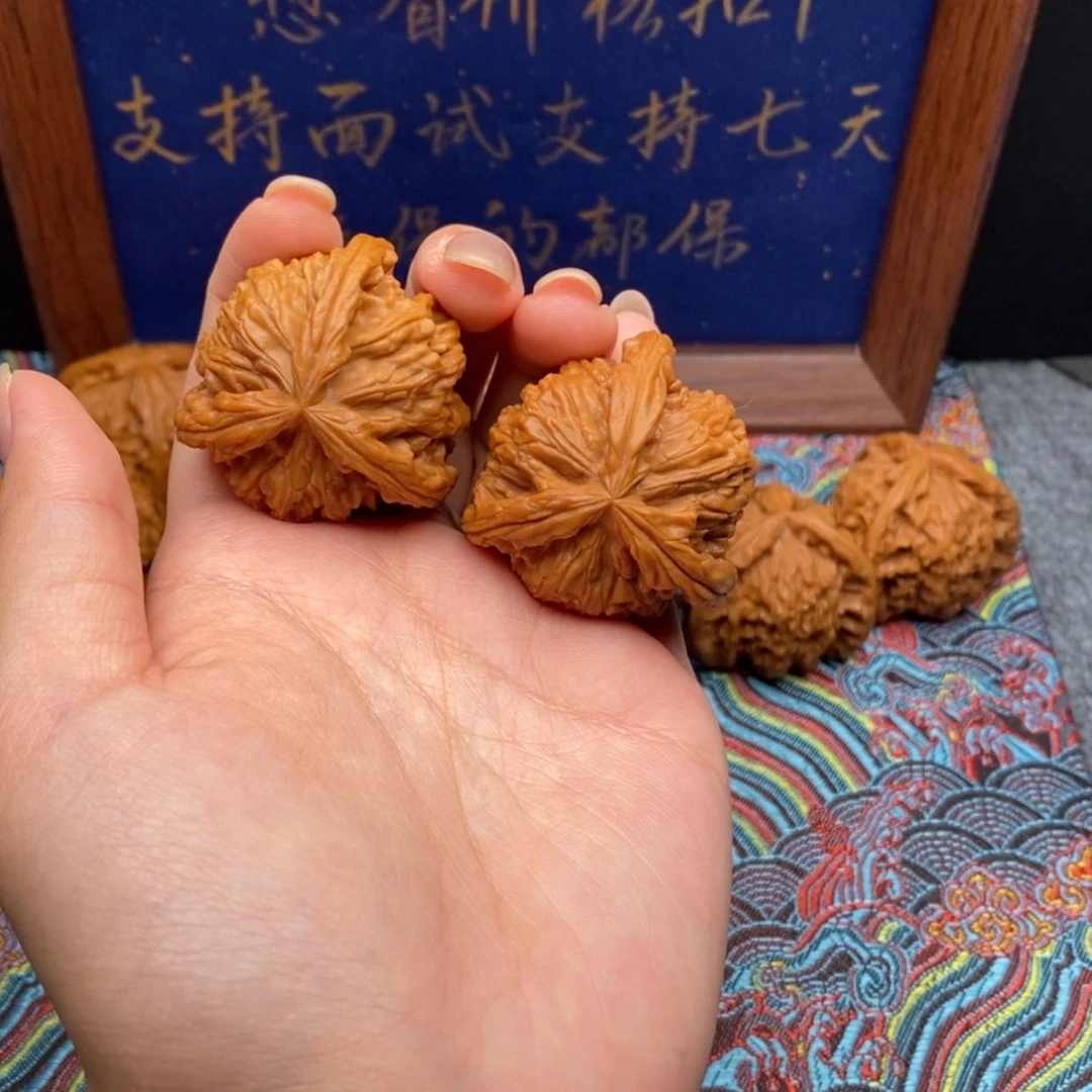 【闪购商品】杨*白狮