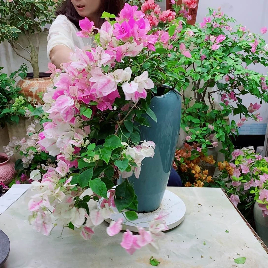 完全开放征**我我们一起加油
