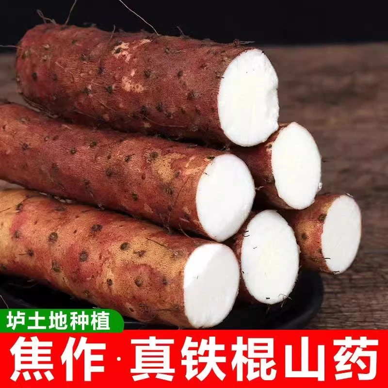 河南正宗铁棍山药焦作温县铁杆山药原产地直发长怀淮山药3斤5斤