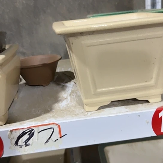 突然人人人人人肉团圆又是