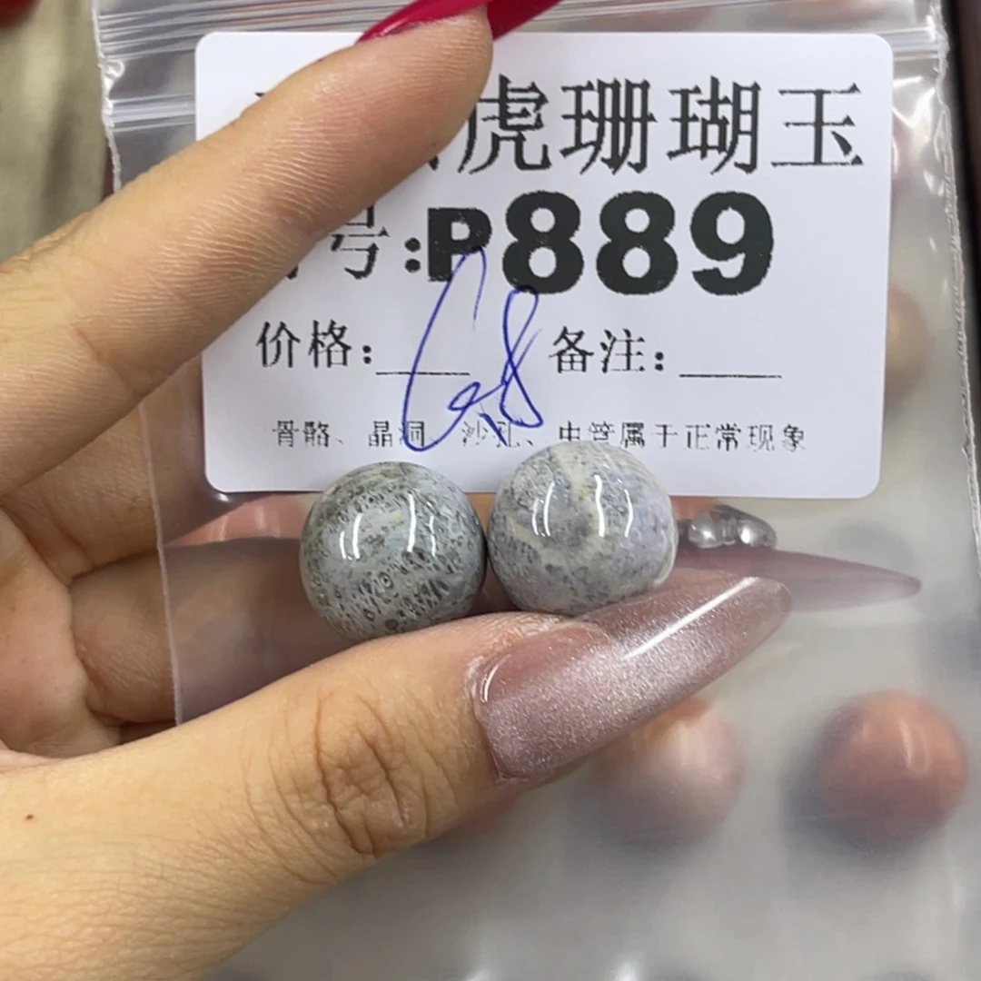 王****硅化珊瑚（珊瑚玉）h未镶嵌