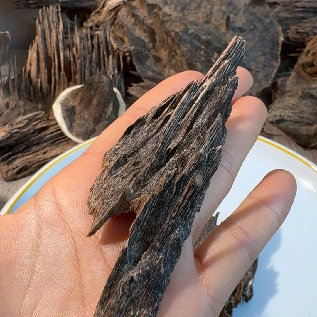 沉香碎屑沉香香港树心齿一块4.2