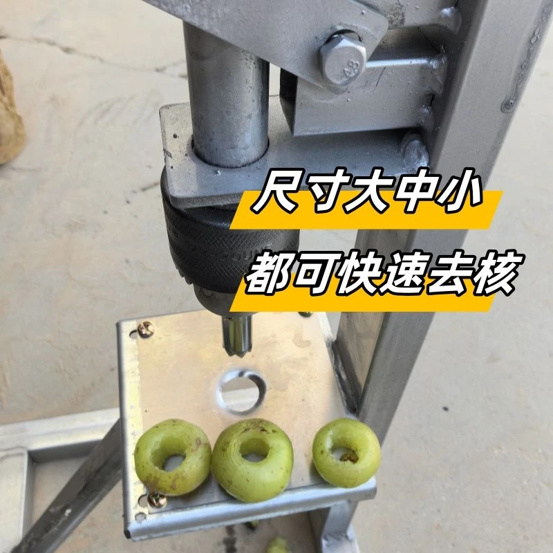 糖葫芦去核机器山楂捅核油甘业专用大枣取籽工具果商用家用快速刀
