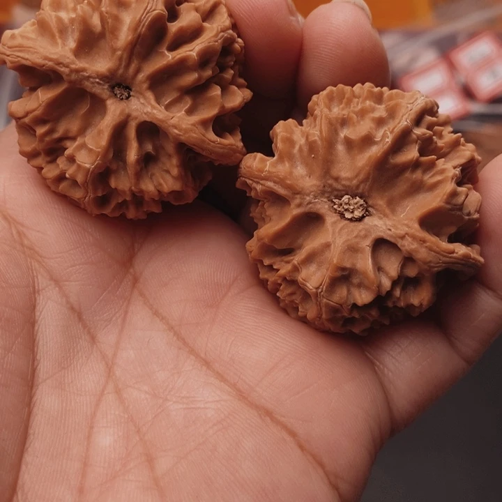 核桃苹果41尺核桃
