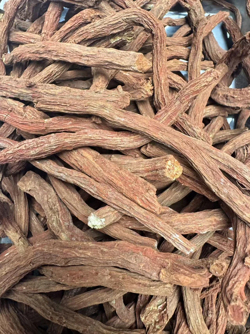 山东种植发汗丹参