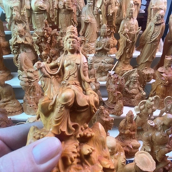 木6****8原木原色一物一拍