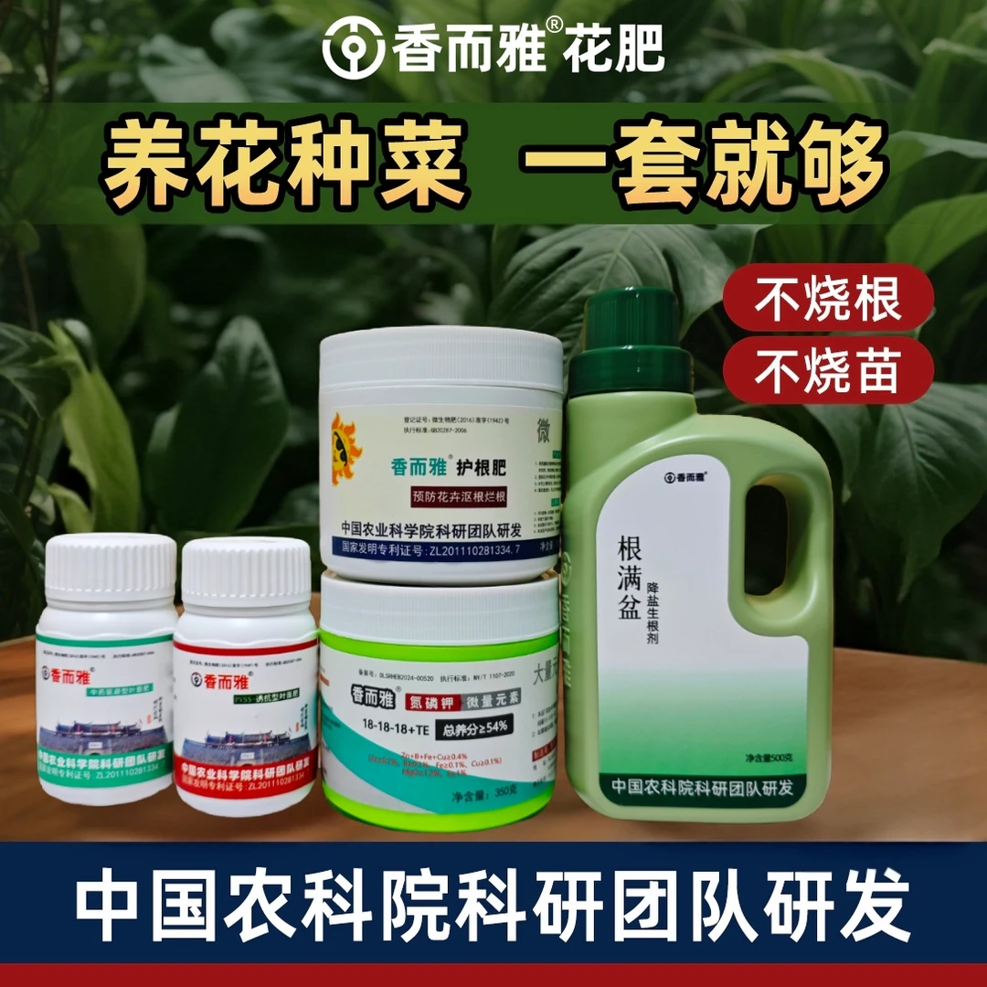 香而雅®园艺无忧套餐三角梅盆景月季兰花等花卉爆花复花促根萌芽