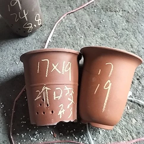 冉***起红泥腰缠万贯一个，小金钟一个