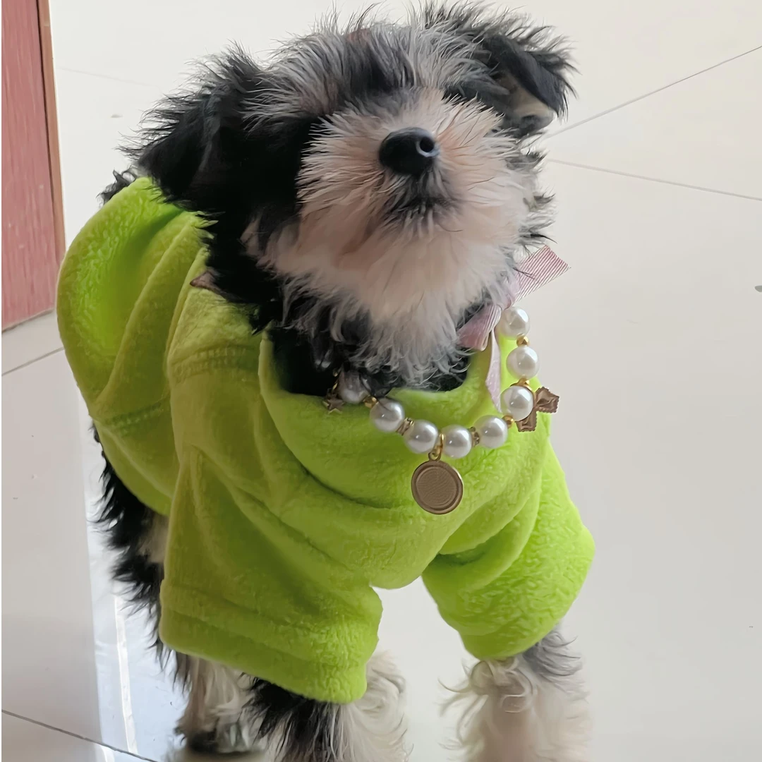 旺爪爪衣橱猫狗春夏秋冬款宠物衣服直播间过款链接