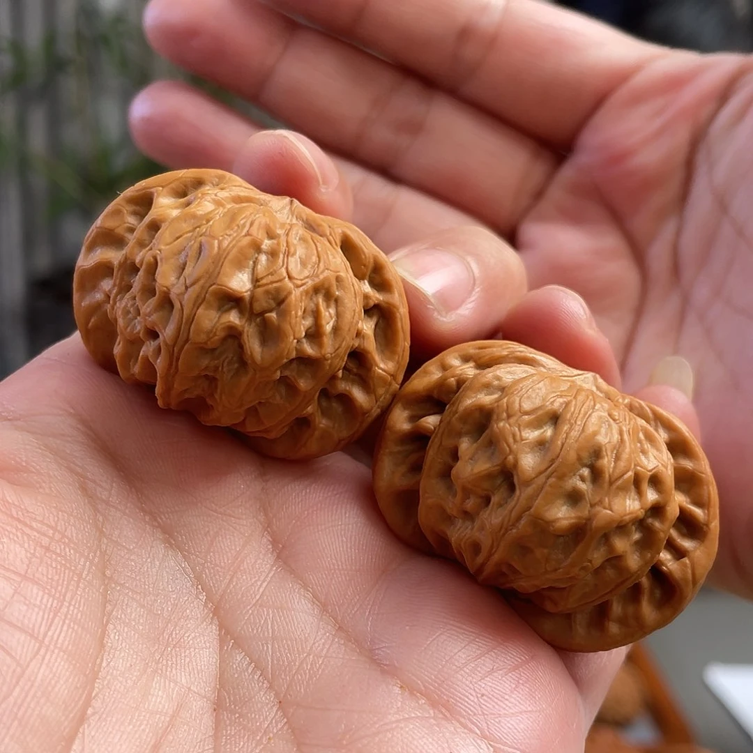 桃核把件41×38尺全品战鼓法老蛇CN01263已打底