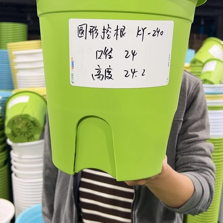正品圆控口24高24果绿8只无托