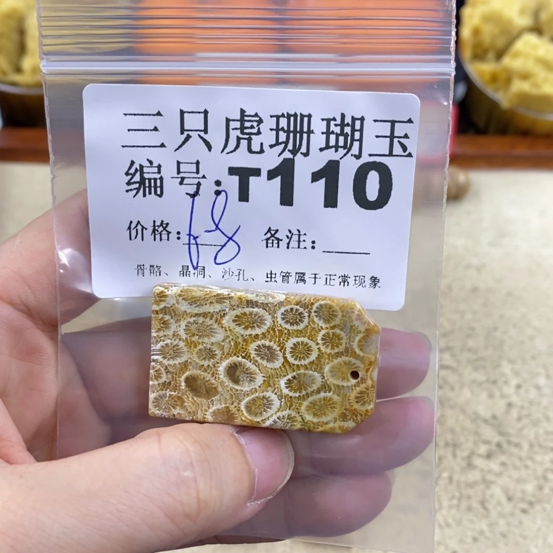 硅化珊瑚（珊瑚玉）1未镶嵌?****条