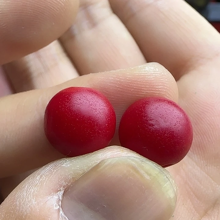 白玉菩提吊坠芬****精品