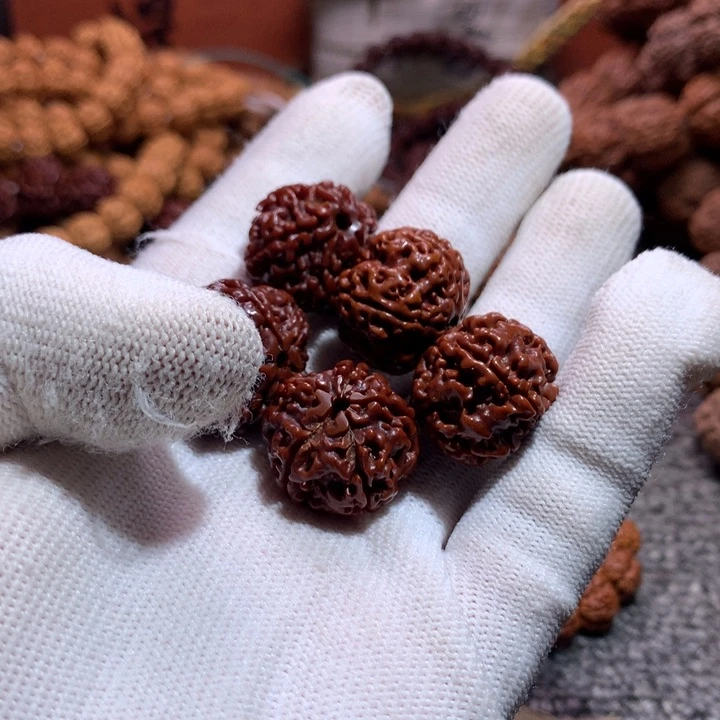 金刚菩提手串原生态