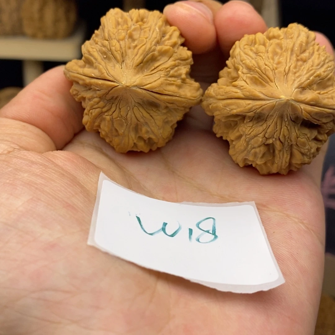 W18大沽石文玩核桃丢丢黄尖40边47+高