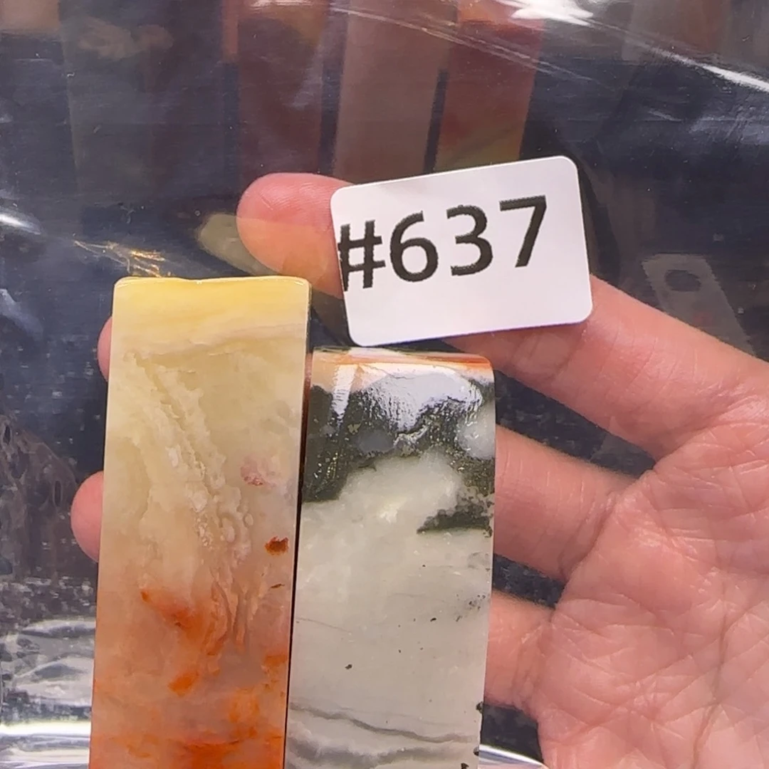 老挝石蜉**瞬老挝石 老挝石