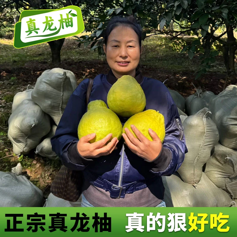 【纯甜】正宗四川泸州合江真龙柚纯甜不酸当季新鲜水果白心蜜柚