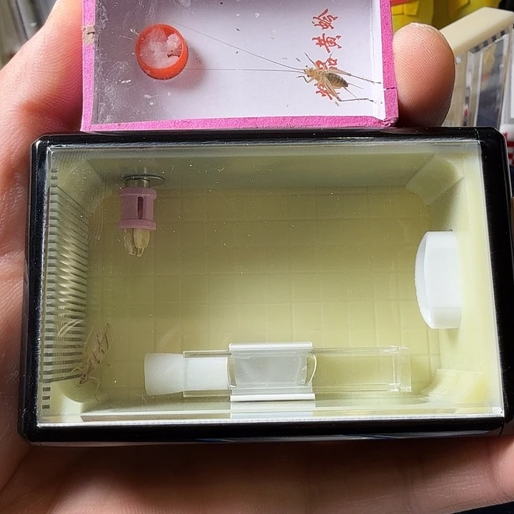 蟋蟀哈哈哈哈哈哈哈哈哈哈