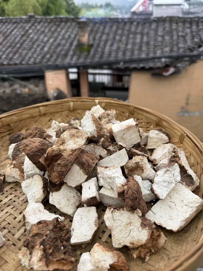 云滇山货—— 下山滇茯苓
