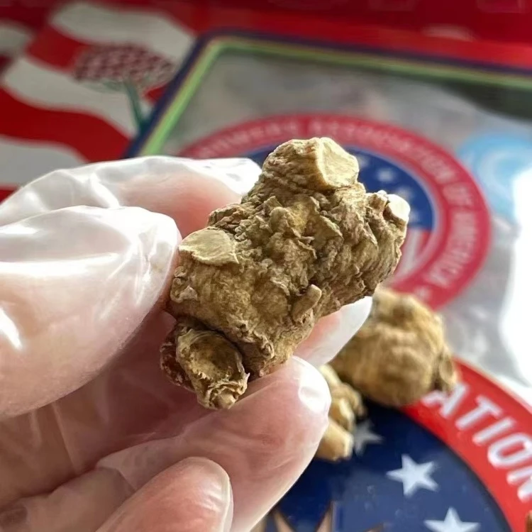 美国花旗参精选圆粒头7克花旗参整枝切片正宗威斯康星州花旗参