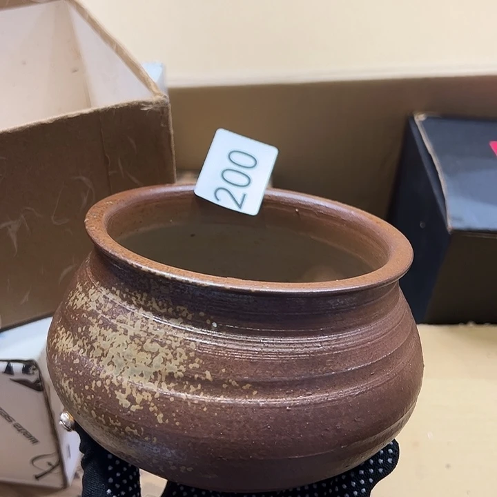 茶宠你在哪呢你现在干吗呢