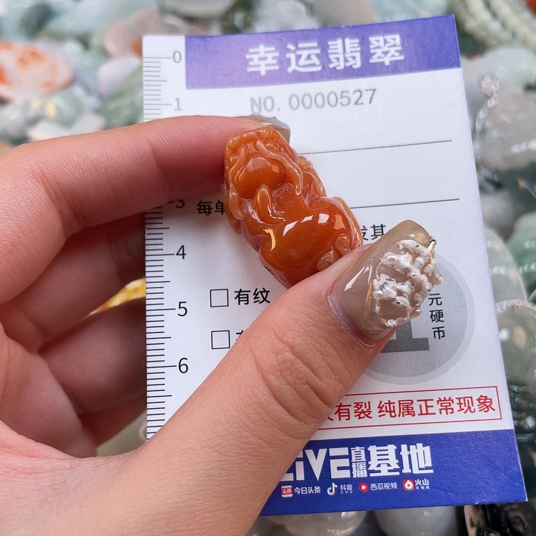 翡翠未镶嵌颈饰527