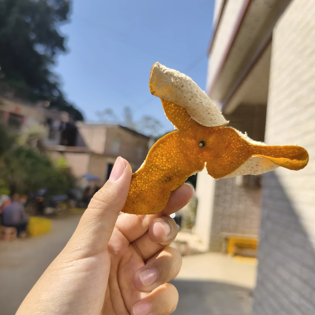 2025年浦北新树大红皮陈皮