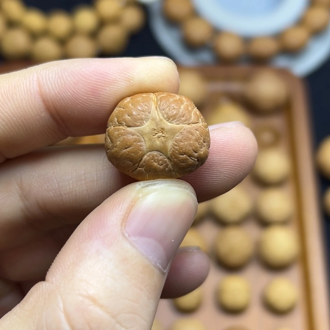 手串凤眼菩提19.8五星上将