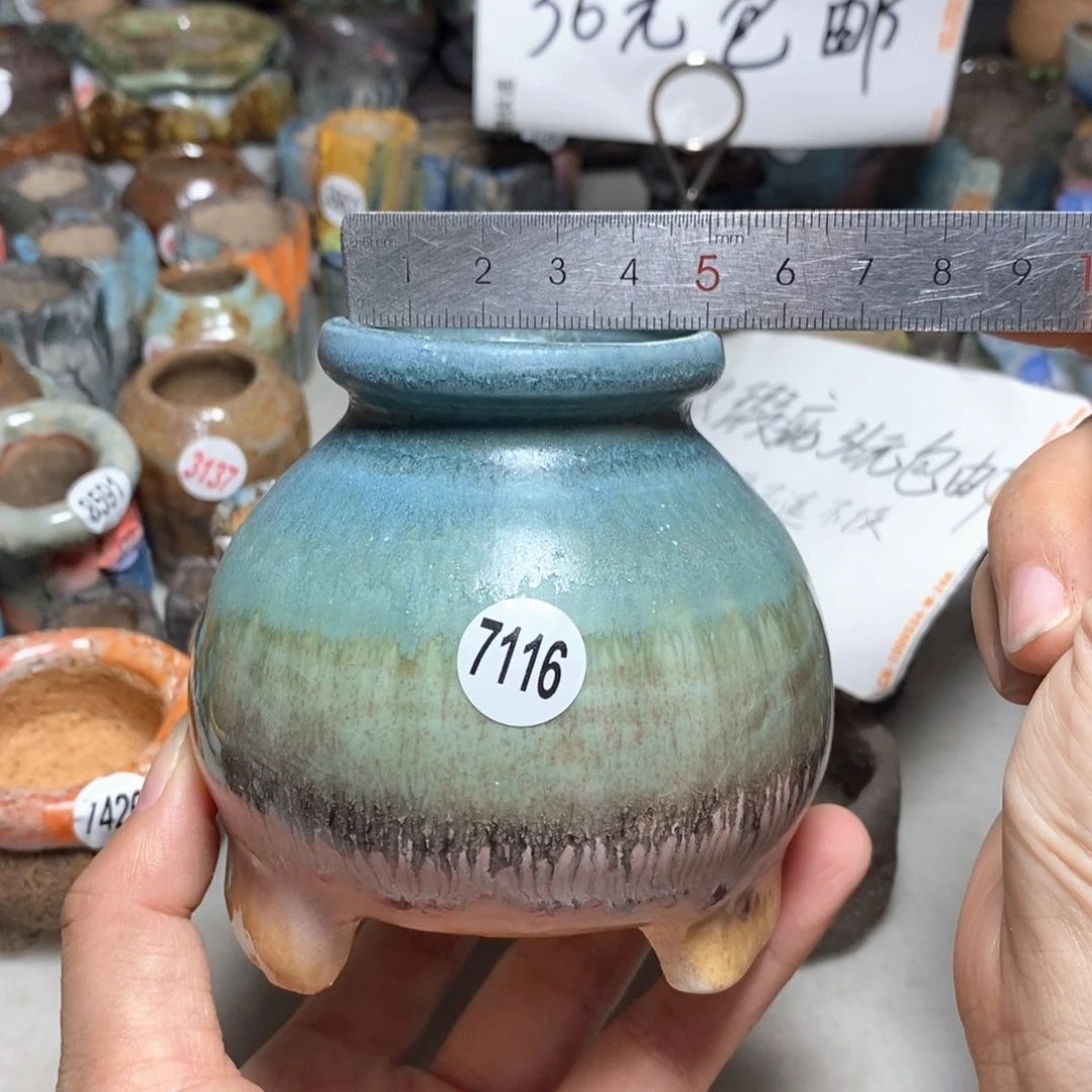 拍5送一个小礼物