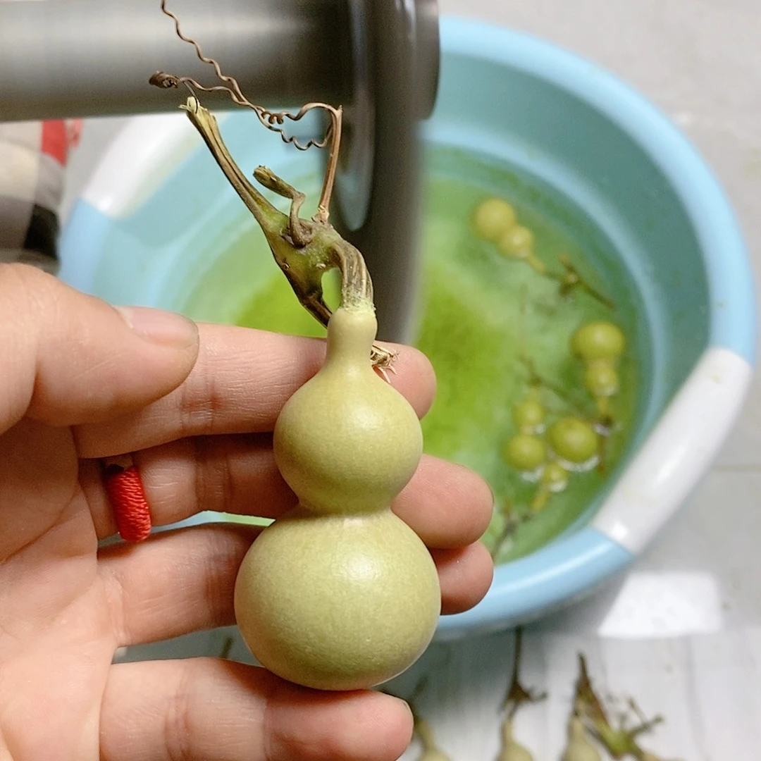 5****部17号小葫芦啊啊啊