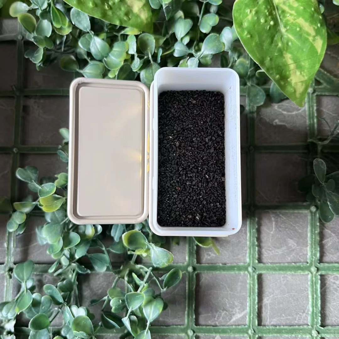 雨腾古茶  “大FF 升W J化”终J元素W倍H聚30g/罐（12月1)