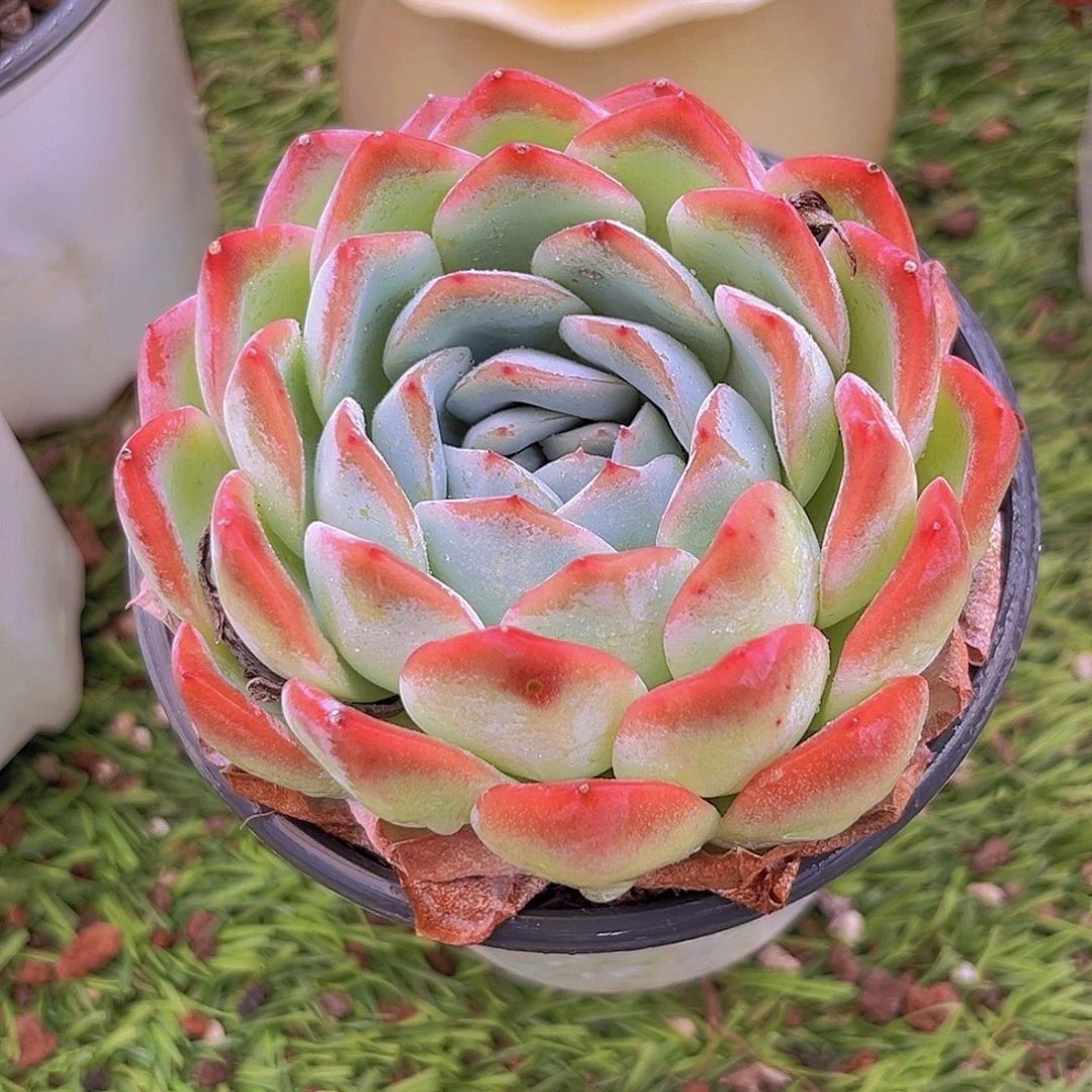 4444444444444444444444