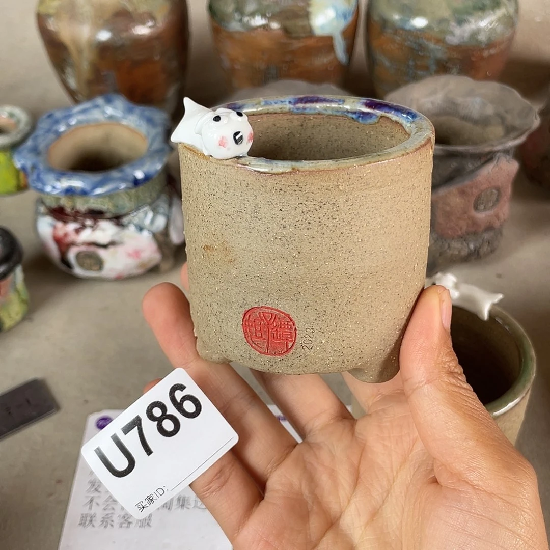 双十一限时福利  内口6