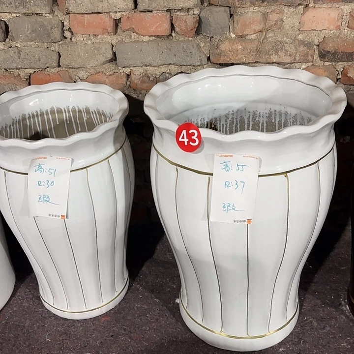 高套二南瓜白色金线