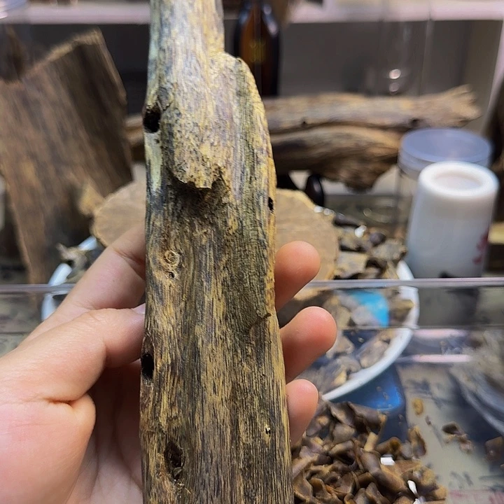 微***雨绿奇楠金沙叶虫漏163克