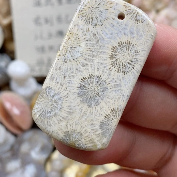 硅化珊瑚（珊瑚玉）未镶嵌颈饰