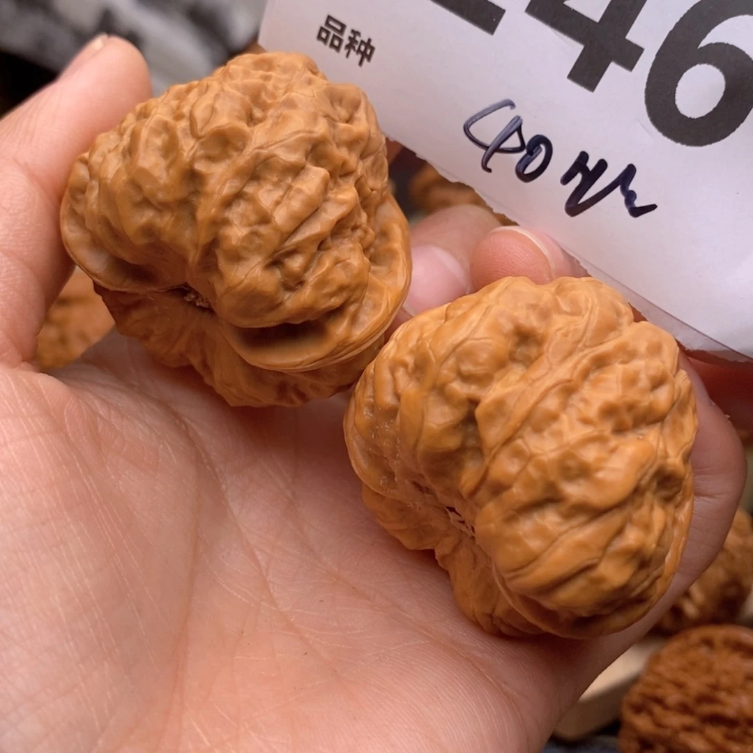 文玩核桃把件246号40蛙