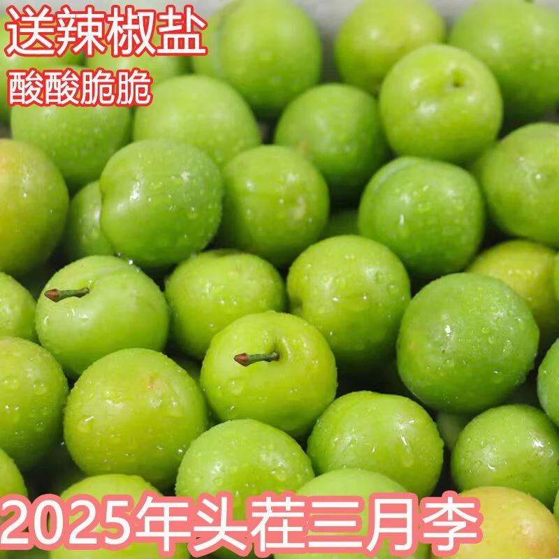 【现摘先发】云南三月李新鲜李子酸脆酸嘢腌制现货新鲜李子现摘包邮