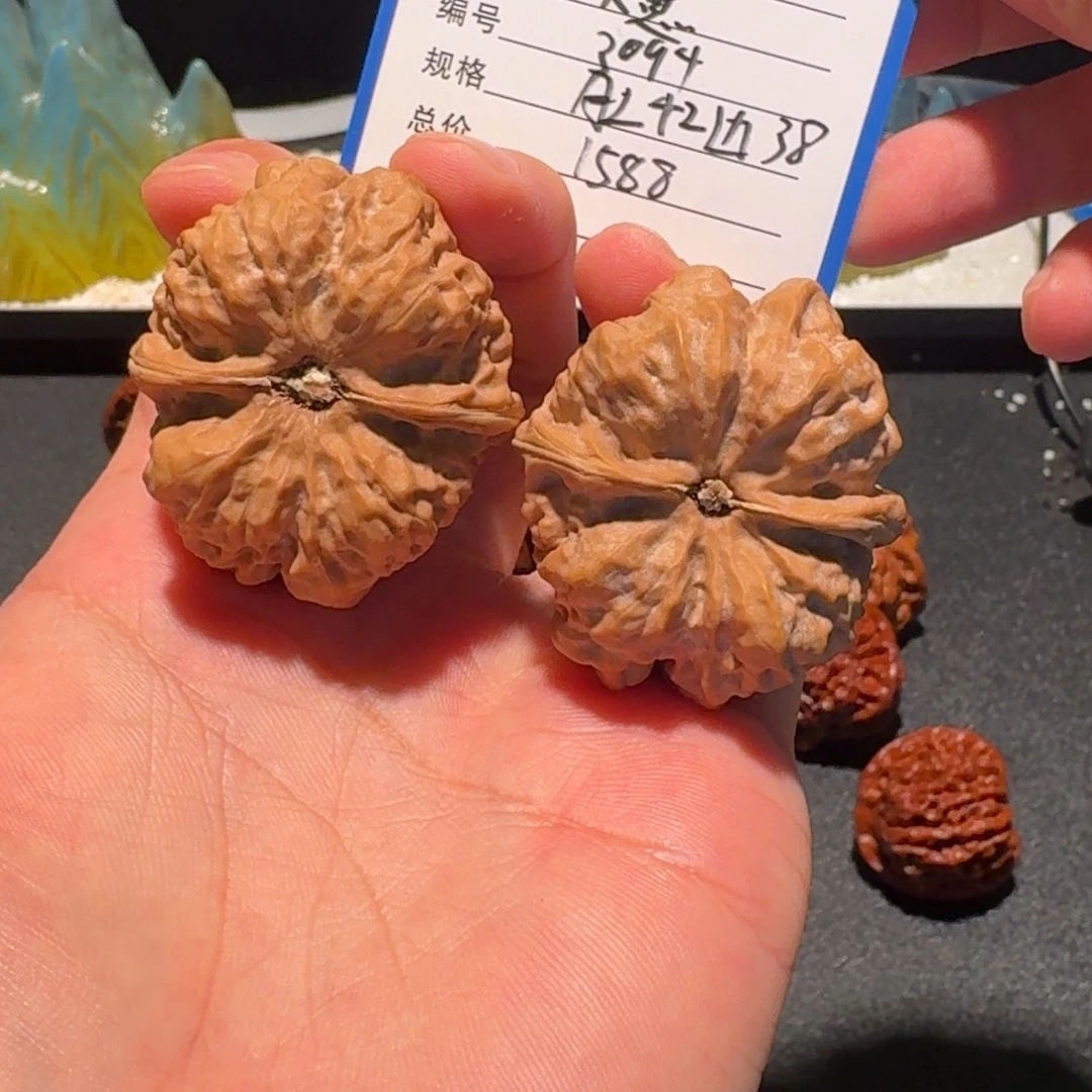 蔡***子天意神珠编号1588