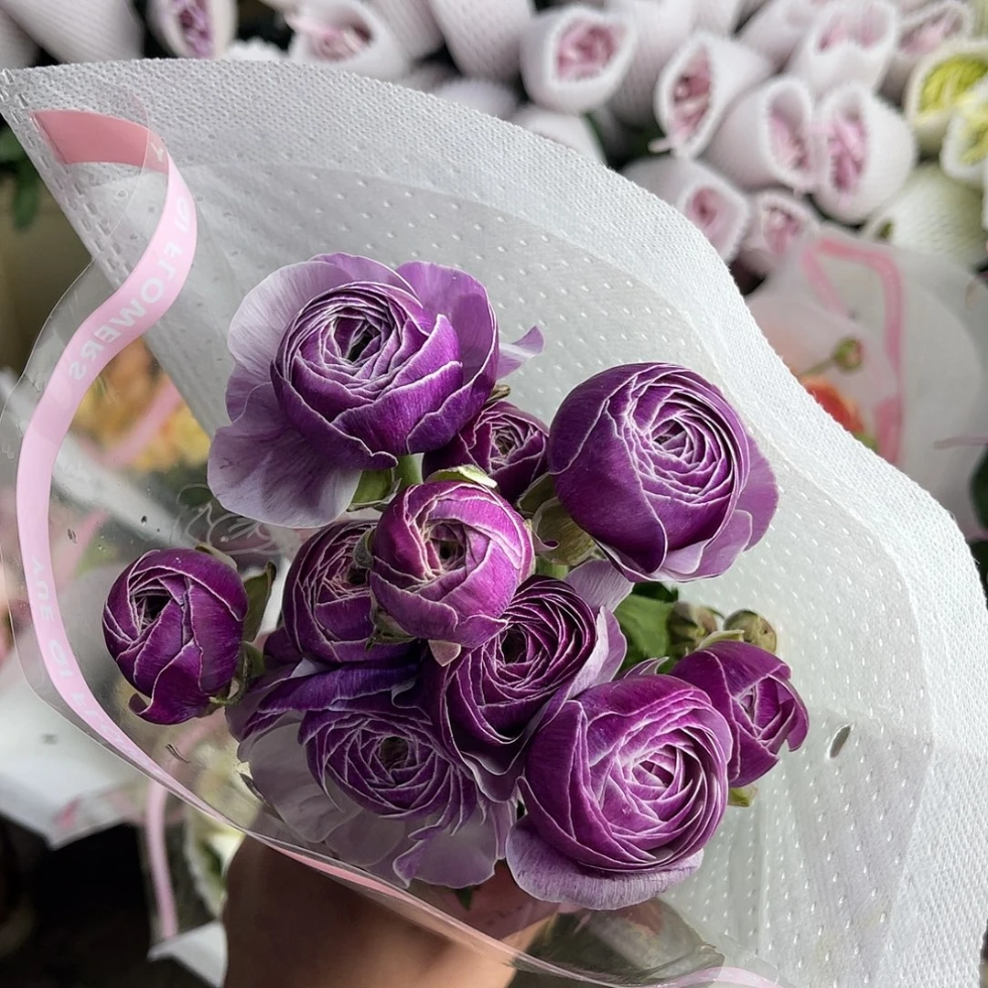 完全开放洋牡丹（洋葱）一扎