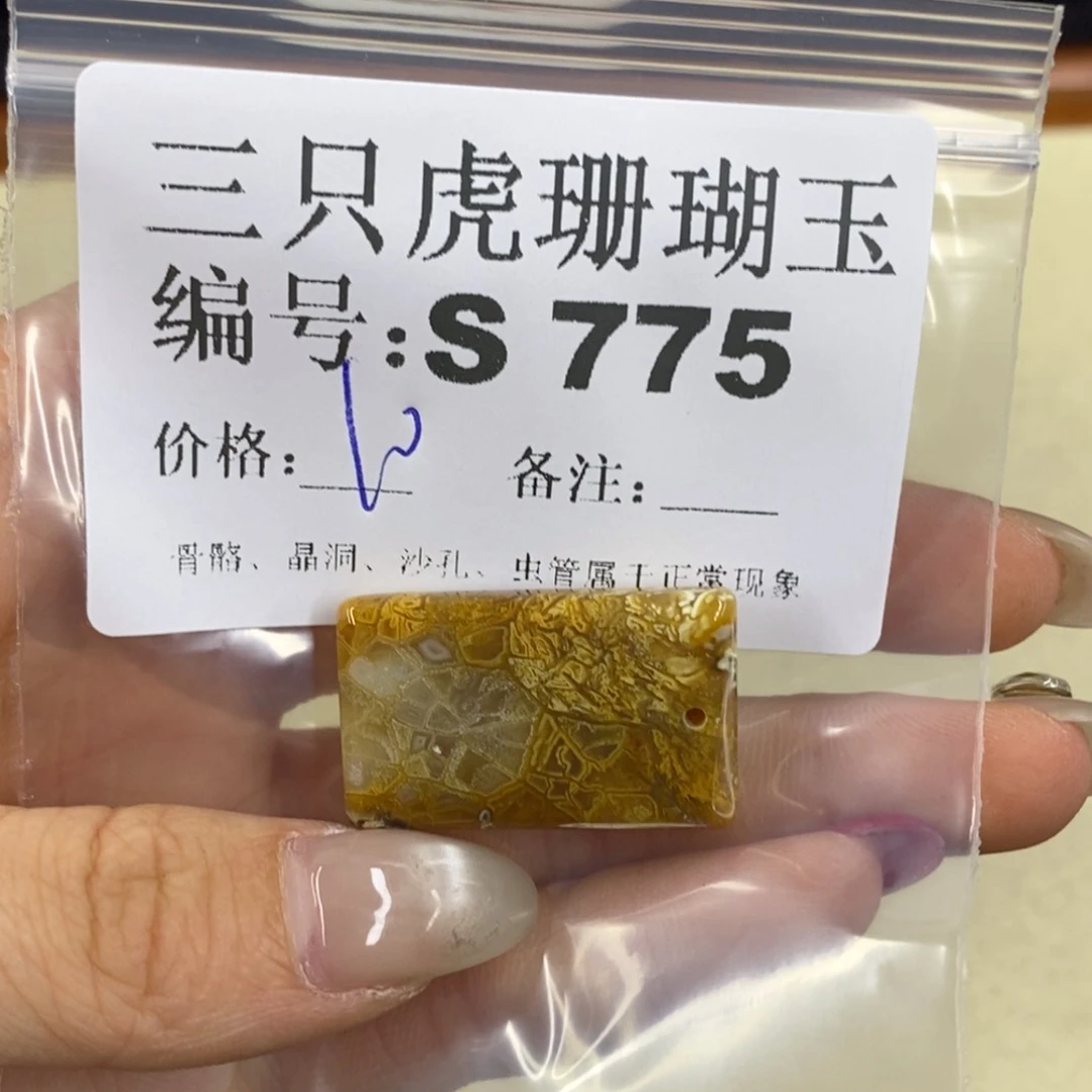 硅化珊瑚（珊瑚玉）t足银镀金镶嵌飘**云