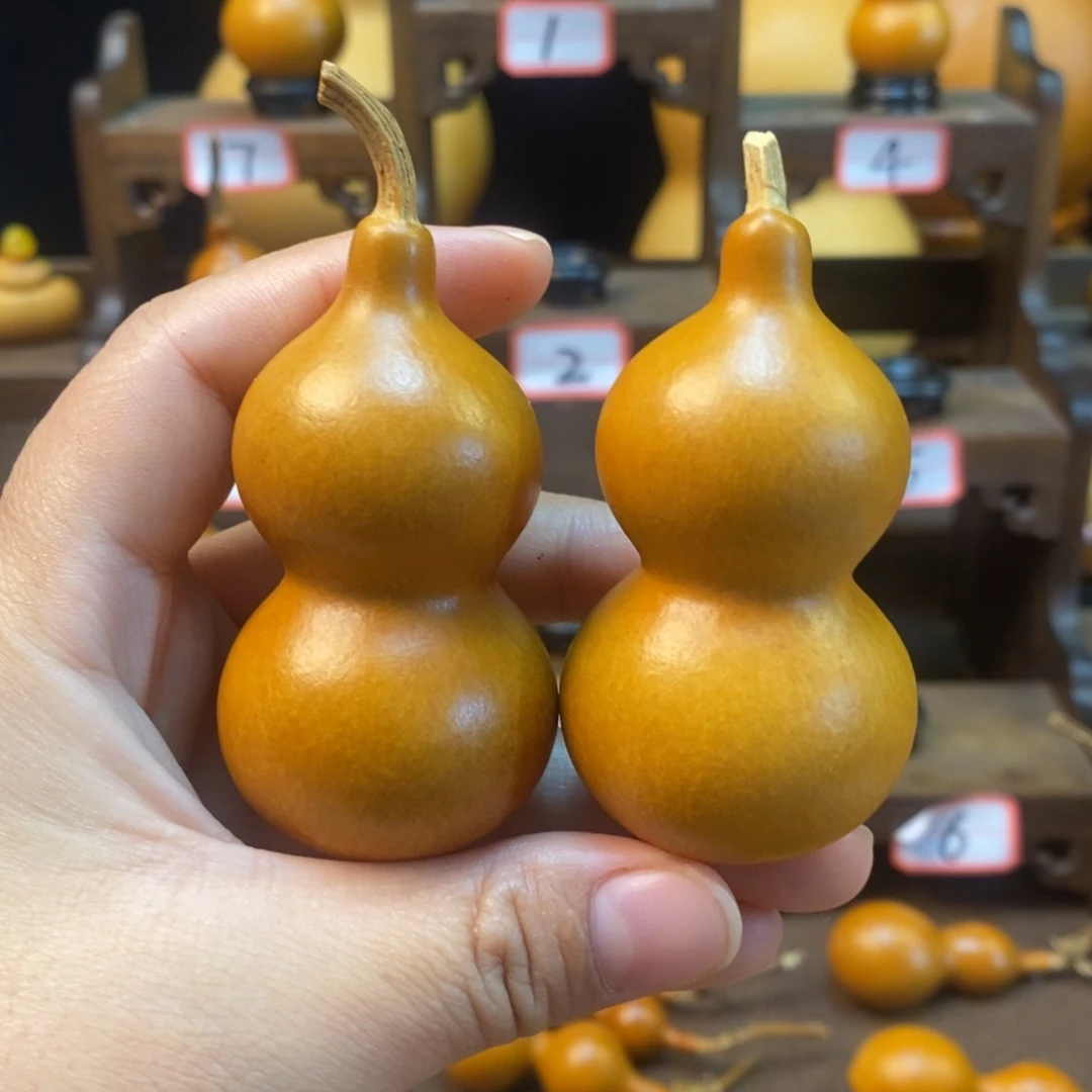 韩***总木咕噜咕噜咕噜咕噜咕噜