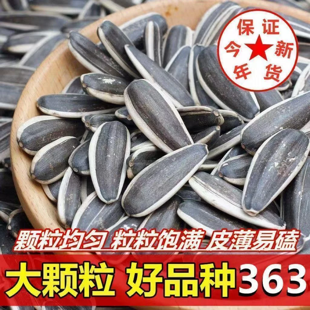 YC【买一斤送一斤】生瓜子内蒙瓜子大颗粒