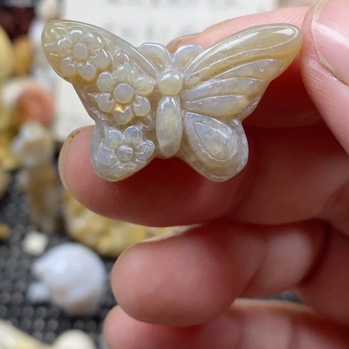 颈饰未镶嵌硅化珊瑚（珊瑚玉）小