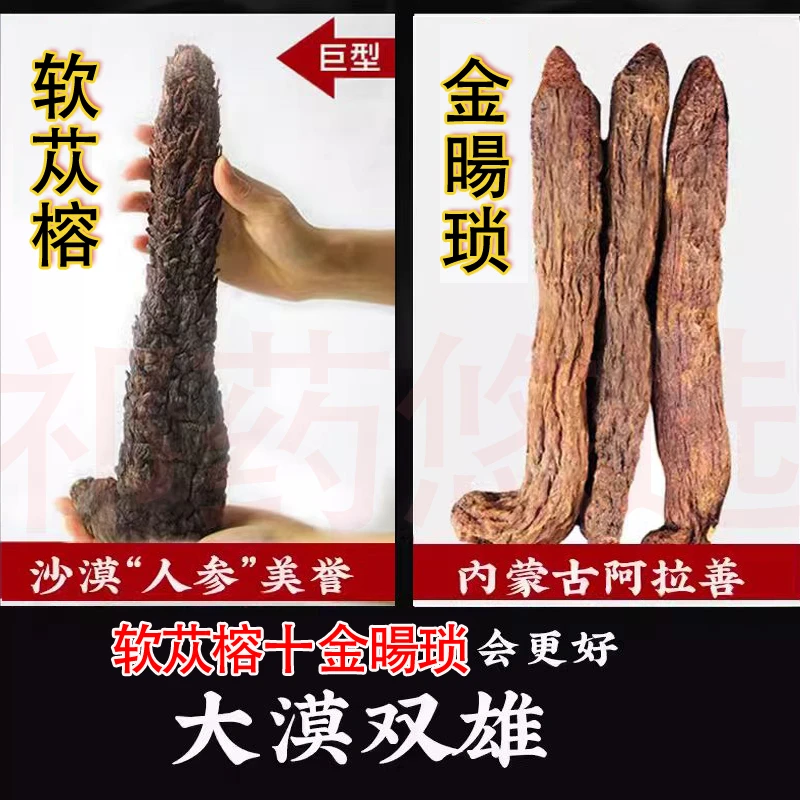 【旗舰店正品肉苁蓉】金暘琐整根200克男士泡酒中药材泡十斤酒功效