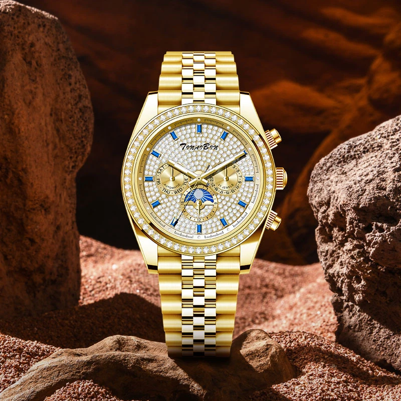 全新 限量 瑞士TINAIBIN 金辉表王 顶奢多功能自动机械腕表l