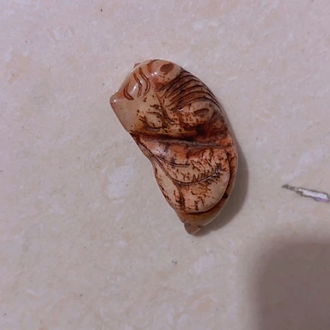 香榧木古**好Fhgfhhfuhchvfg