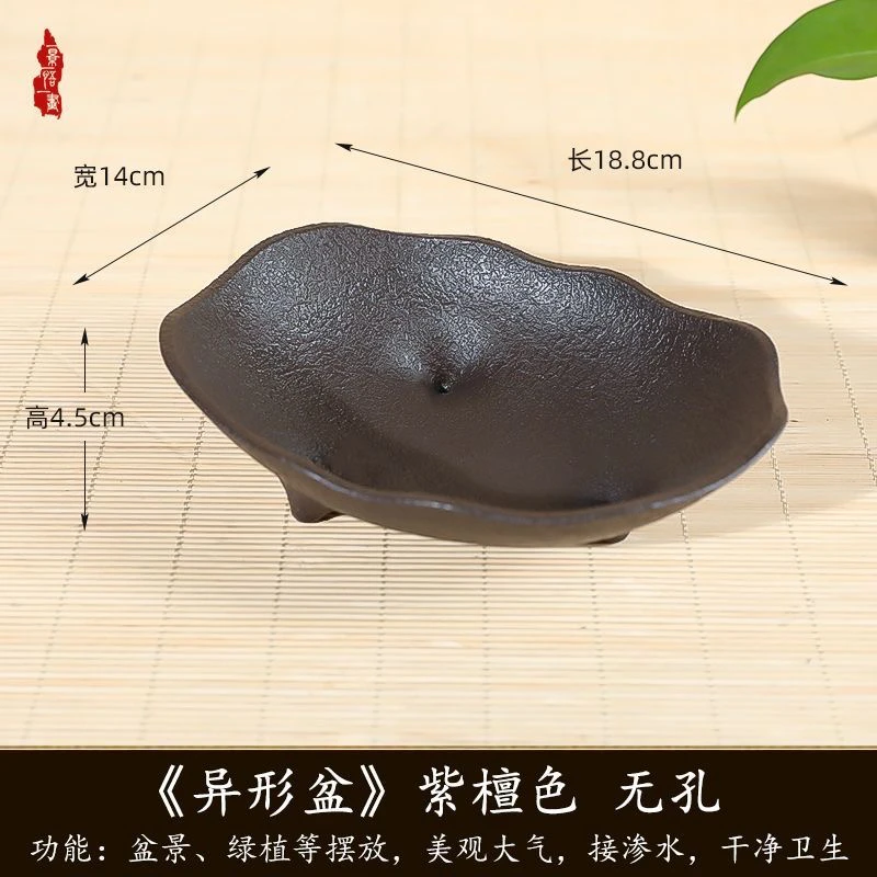 仿紫砂花盆水培器皿苔藓植物蕨类专用盆加厚无孔树脂花盆