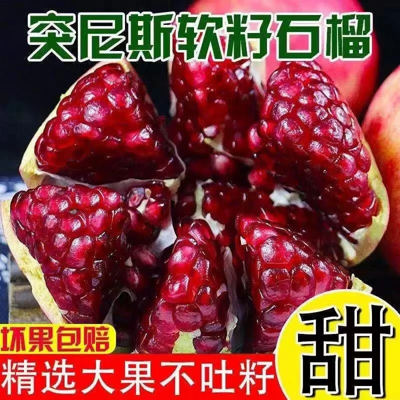 四川突尼斯软籽石榴甜石榴新鲜采摘应季水果清甜软籽红石榴-s